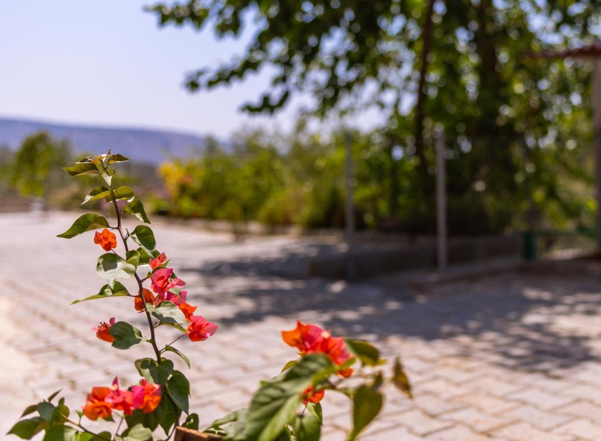 Agach Aparts-Savran Milas Dış mekan fotoğraf